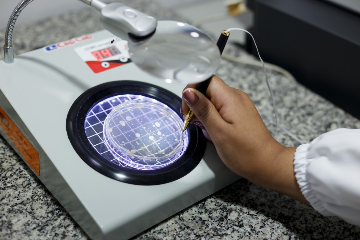 Contagem de colônias em placa de Petri sobre contador iluminado